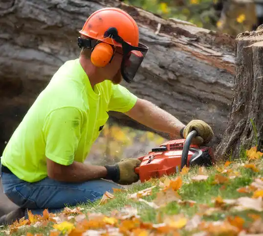 tree services Waseca